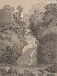 Waterval bij St. Anns