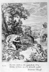 Narcissus verliefd op zijn eigen reflectie, 1655