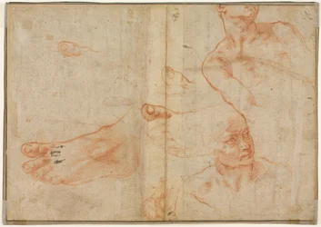 Figurenstudies voor het Plafond van de Sixtijnse Kapel (verso)
