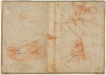 Figurenstudies voor het plafond van de Sixtijnse Kapel, verso, 1510-11