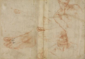 Figurenstudies voor het plafond van de Sixtijnse Kapel