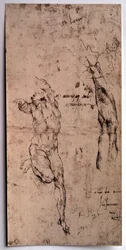 Naakte man, armstudie Tekening door Michelangelo Buonarroti