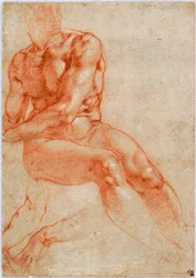 Zittende jonge mannelijke naakt en twee armstudies, ca. 1510-1511