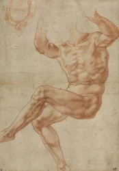 Studie voor de naakte jongeling boven de profeet Daniël, voor het plafond van de Sixtijnse Kapel, 1510-11