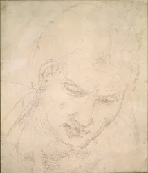 Studie van een hoofd, c1490-1560