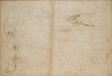 Verso: Studies van een mannenbeen