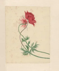 Twee takken met elk een bloem