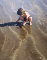 Zoeken naar schelpen