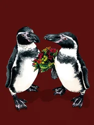 Jubileum Pinguïns op Roodoxide, 2020