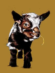 Babygeit op goudgeel, 2020