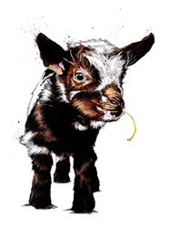 Babygeit op wit, 2020