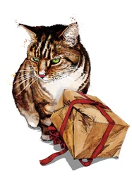 Verjaardag Kat op Wit, 2020