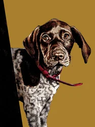 Dag dag puppy op goudgeel, 2020