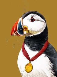 Gefeliciteerd Papegaaiduiker op Goudgeel, 2020