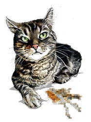 Cadeau Kat op Wit, 2020