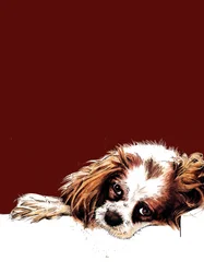 Meg, de spaniël, op rood oxide, 2020
