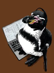 Nieuwe Baan Pinguïn op Gebrand Oranje, 2020