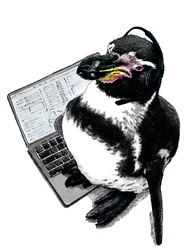 Nieuwe Baan Pinguïn op Wit, 2020