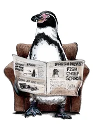 Pensioen Pinguïn op Wit, 2020