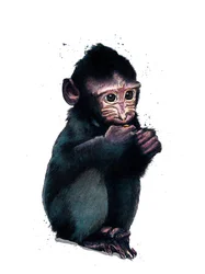 De Baby Makaak op Wit, 2020