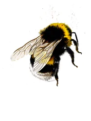 De Bij op Wit, 2019