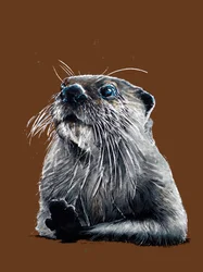De Otter op Gebrand Oranje, 2020