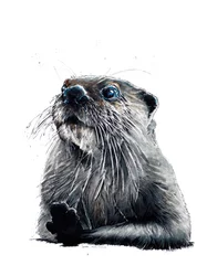 De Otter op Wit, 2020