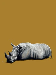 De neushoorn op goudgeel, 2020