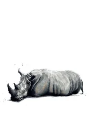 De Neushoorn op Wit