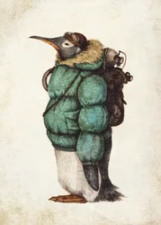 Pinguïn-avonturier