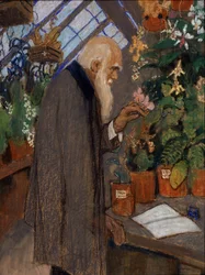 Portret van wetenschapper Charles Robert Darwin (1809-1882) die planten onderzoekt in de kas van Langdon-Down