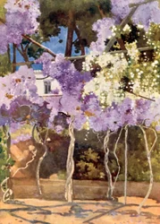 De Wisteria Prieel, Het Koninklijk Paleis, Athene