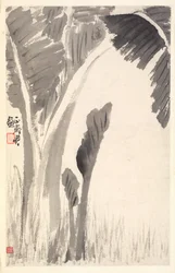 Bananenplanten, 1788