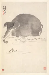 Olifant, Paard en Haas