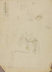 Dromedaris Zadel/Studies
