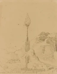 Eikenboom op de berg Sinaï