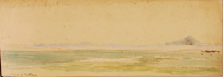 Vlakten van Carthago