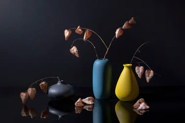 Moderne botanische vazen