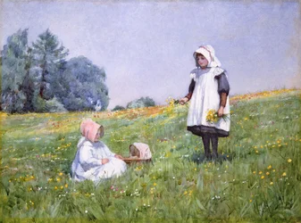 Boterbloemen en Madeliefjes