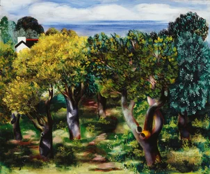 Landschap in Sanary; Paysage de Sanary