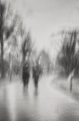 Een dromerige wandeling door het park