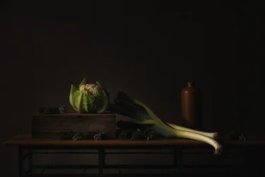 Stilleven ‘Dark Harvest’