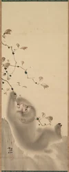Aap die aan een tak hangt, 1780