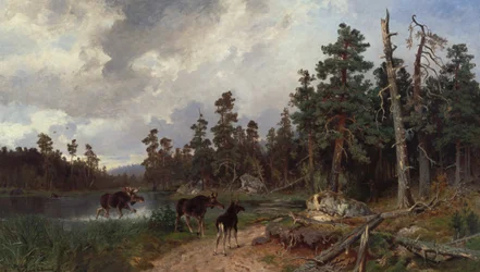 Elanden en jagers in dennenbos