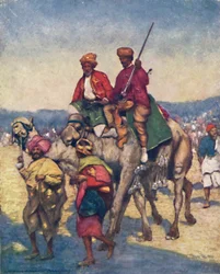 Kamelen uit Mysore, 1903