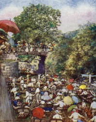 Boulters Lock, Ascot Zondag