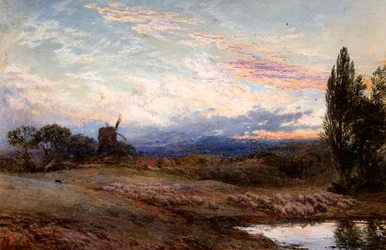Schapen Drinken bij Zonsondergang