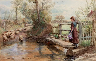 Uitzicht in Surrey