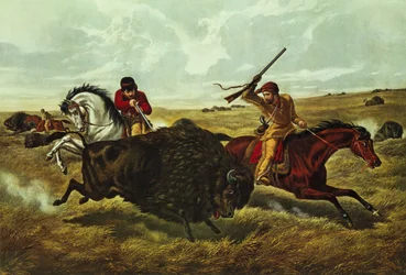 Leven op de prairie - de bizonjacht, 1862