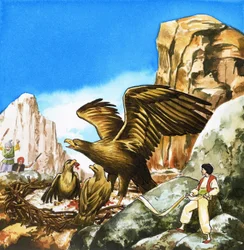 Sinbad de zeeman